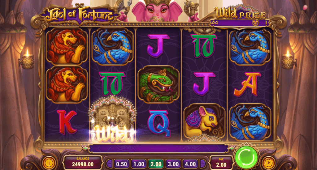 Idol of Fortune Play n Go slot online india home