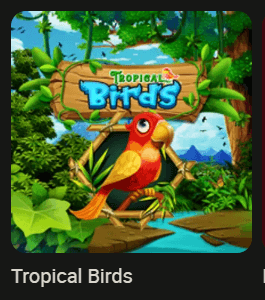 tropical birds slot mplay india