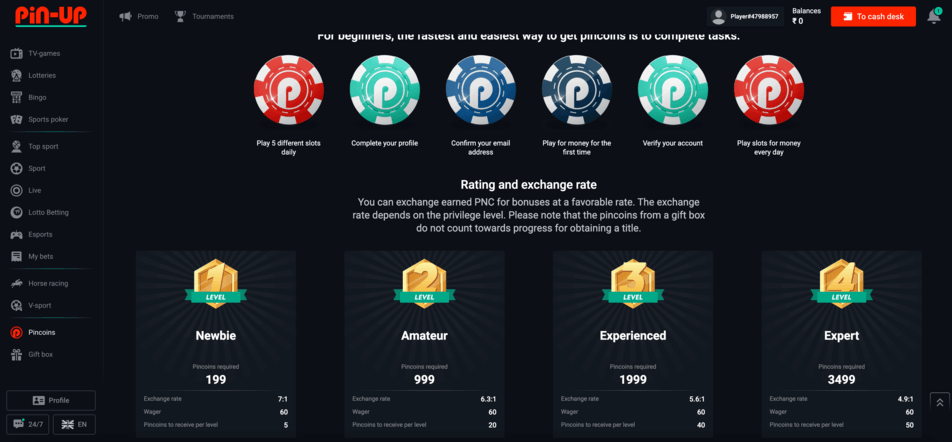 VIP bonus at pin up casino